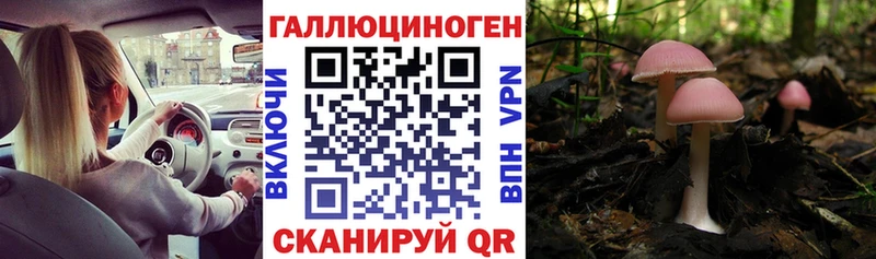 Псилоцибиновые грибы мухоморы  Каменногорск 