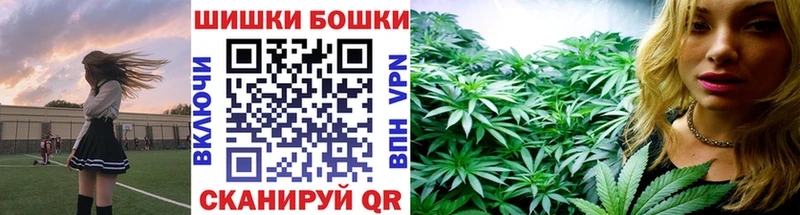 Канабис сатива  ссылка на мегу ONION  Каменногорск  цены наркотик 